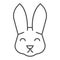 Easter bunny head thin line icon. Holiday decoration rabbit face silhouette outline style pictogram on white background