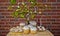 Easter bunny hunt. Spring holiday at Sunday. Eastertide and Eastertime. Good Friday. Hunting eggs. Easter composition on brick