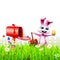 Easter Bunny With letter box