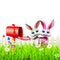 Easter Bunny With letter box