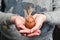 Easter bunny made of a brown chicken egg and craft paper in the hands of a girl