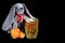 Easter bunny with mug of beer and potato chips against black background