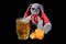 Easter bunny with mug of beer and potato chips against black background