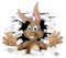 Easter Bunny Rabbit Cartoon Character
