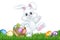 Easter Bunny Rabbit Eggs Basket Background Cartoon