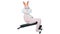 Easter Bunny or rabbit funny sportsman athlete bodybuilder is practicing trains exercises abdominal muscles isolatedon