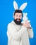 Easter bunny. Respect for traditions. Man wearing bunny plush suit. Funny bunny man with beard and mustache. Easter