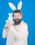 Easter bunny. Respect for traditions. Man wearing bunny plush suit. Funny bunny man with beard and mustache. Easter