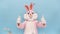 Easter bunny or rich lucky man holds fan of dollar, throwing dollars, stands under rain of banknotes, shows thumb finger