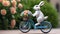 The Easter bunny rides a bicycle.