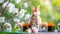 Easter bunny with sushi, green nature background with flowers