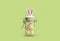 Easter bunny sweets jar with tiny eggs on green background.