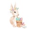 Easter Bunny Watercolor Eggs Pastel Florals Leaves Pink Feathers Floral
