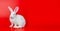 Easter bunny white rabbit on red background, Lovely mammal with beautiful bright eyes in nature life, Animal concept,