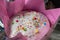 Easter cake with Easter eggs. Bright packaging. Preparations for Easter. Festive cakes with white glaze