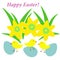 Easter card with daffodils, chicks, eggs. Happy easter greeting with yellow narcissus and cute chickens, vector eps 10