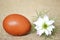 Easter card: Easter egg and white nigella flower