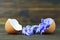 Easter card with hyacinth flowers in eggshells on wooden table