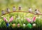 Easter card with Sparrow Chicks sitting on a branch above a green meadow with colorful eggs and rabbit ears sticking out in the