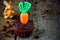 Easter carrot cupcake on dark wooden background