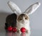 Easter cat in rabbit ears guards three red eggs