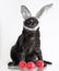 Easter cat in rabbit ears guards three red eggs