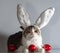 Easter cat in rabbit ears guards three red eggs