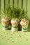 Easter celebration with Easter cupcakes. Decoration with wheat greens. Isolated on green background.