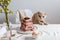 Easter cherry chocolate curd cake with nest and eggs on festive table with cute scottish fold cat. Easter card. Copy space