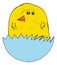 Easter Chick Bird Cartoon Character Kids Drawing