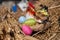 Easter chick decoration in a nest and colorful easter eggs