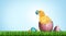 Easter Chick Egg Hunt