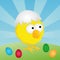 Easter - Chick with eggshell