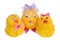 Easter chicken mother and chickens kids made of cloth and thread isolated