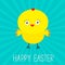 Easter chicken. Sunburst background . Card.