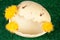 Easter chicks on a broken eggshell