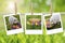 Easter collage photos sign background