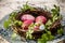 easter colored pink eggs in diy wreath from birch on blue plate with flowers