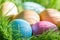 Easter colorful eggs in spring green grass in sunlight floral abstract background