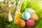 Easter colorful eggs in spring green grass in sunlight floral abstract background