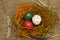 Easter. Colorful nest of chocolate quail eggs
