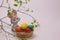 Easter composition - colored eggs, a hare and a branch of young greenery on a light background. Holiday card