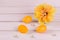 Easter composition. Colored yellow eggs and flower on a wooden background. Copy space