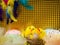 Easter composition, colorful eggs, chicken in nest, color feather