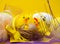 Easter composition, colorful eggs, chicken in nest, color feather