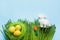 Easter composition of colorful eggs in nest and bunny in grass. Space for text