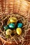 Easter composition. Cute painted easter eggs  are placed on nice haystack from dried straws and inside wicker basket. Greeting