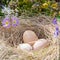 Easter composition of eggs in a nest of straw, sprigs of flowering willow and primrose
