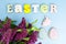 Easter composition, homemade cookies on bright background
