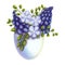Easter composition hyacinth, blue flowers in an egg shell, stock illustration isolated on white background, sticker, background,